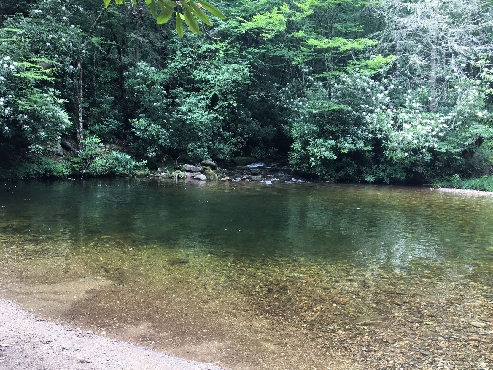 Swimming hole on East Fork